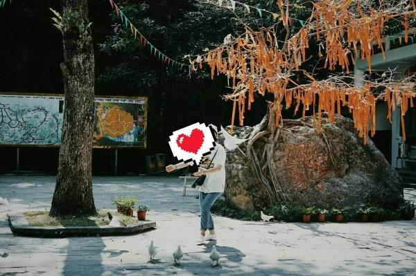 救援可爱小松鼠