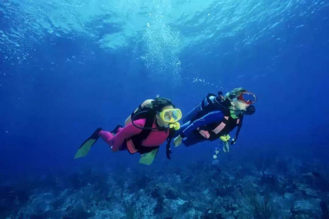肖战委托律所起诉黑粉侵权 要求主动道歉及赔偿精神损失费